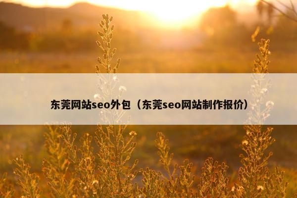 东莞网站seo外包（东莞seo网站制作报价）