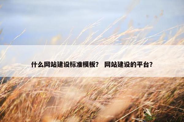什么网站建设标准模板？ 网站建设的平台？