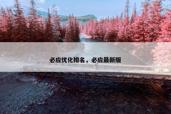 必应优化排名，必应最新版