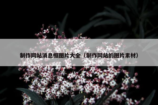 制作网站消息框图片大全（制作网站的图片素材）