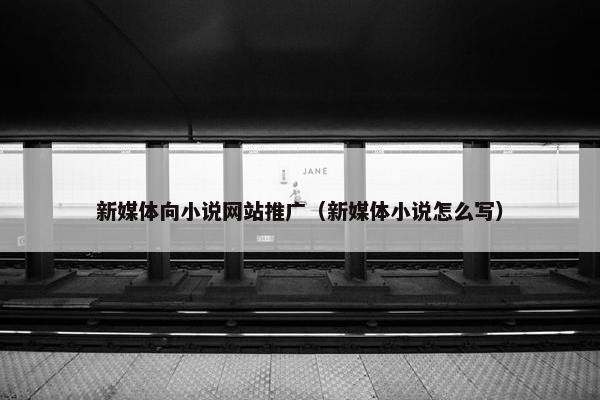 新媒体向小说网站推广（新媒体小说怎么写）