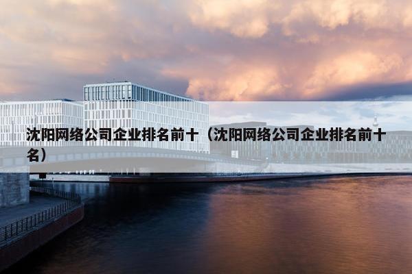 沈阳网络公司企业排名前十（沈阳网络公司企业排名前十名）