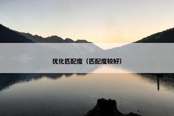 优化匹配度（匹配度较好）