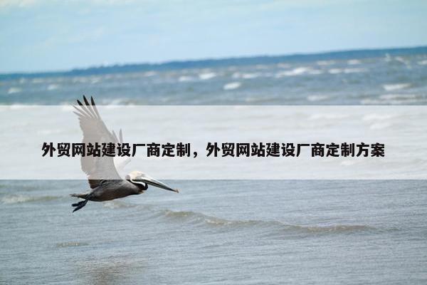 外贸网站建设厂商定制，外贸网站建设厂商定制方案