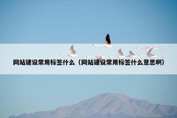 网站建设常用标签什么（网站建设常用标签什么意思啊）