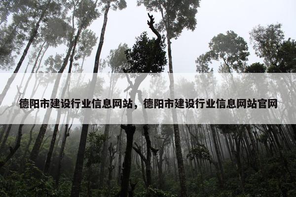 德阳市建设行业信息网站，德阳市建设行业信息网站官网