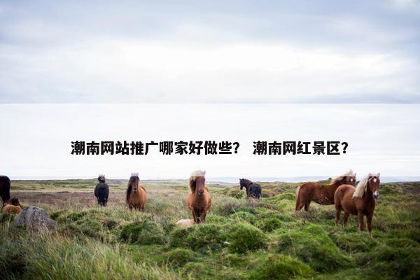 潮南网站推广哪家好做些？ 潮南网红景区？