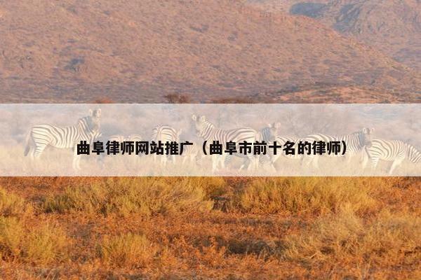 曲阜律师网站推广（曲阜市前十名的律师）