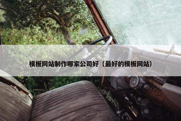 模板网站制作哪家公司好（最好的模板网站）
