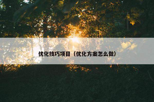 优化技巧项目（优化方案怎么做）