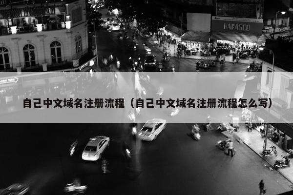 自己中文域名注册流程（自己中文域名注册流程怎么写）