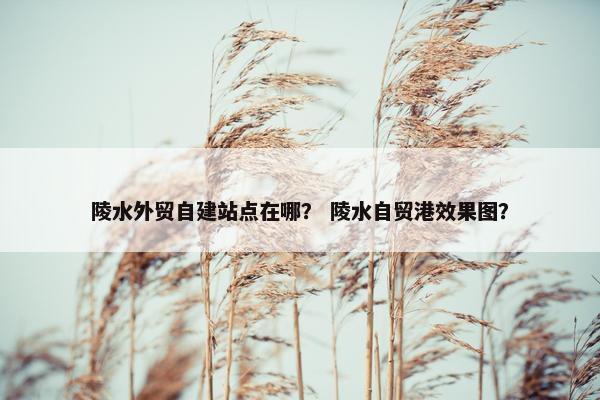 陵水外贸自建站点在哪？ 陵水自贸港效果图？