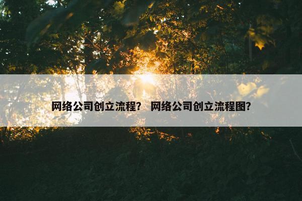 网络公司创立流程？ 网络公司创立流程图？