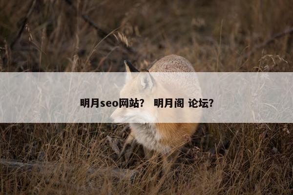 明月seo网站？ 明月阁 论坛？