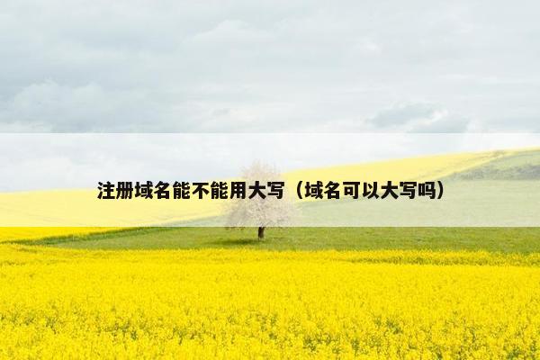 注册域名能不能用大写（域名可以大写吗）
