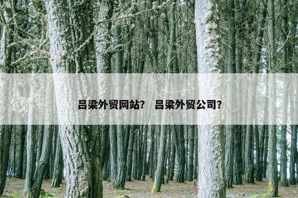 吕梁外贸网站？ 吕梁外贸公司？