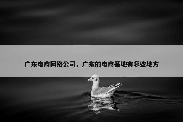 广东电商网络公司，广东的电商基地有哪些地方