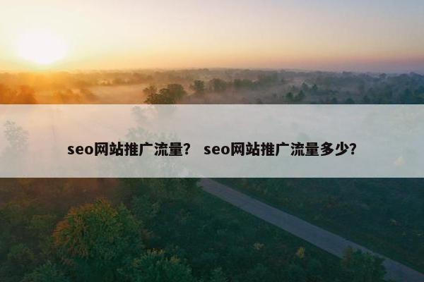 seo网站推广流量？ seo网站推广流量多少？
