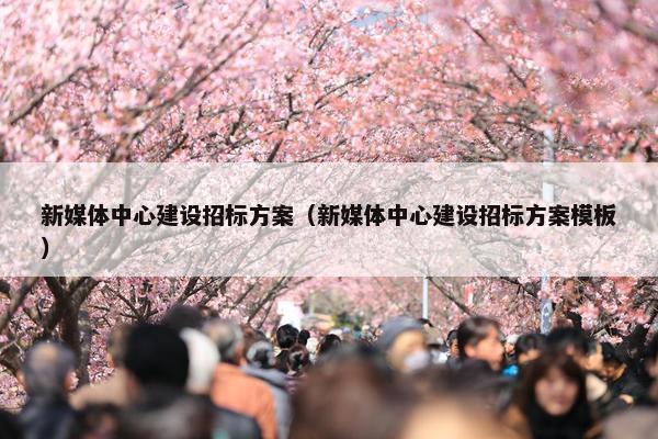 新媒体中心建设招标方案（新媒体中心建设招标方案模板）