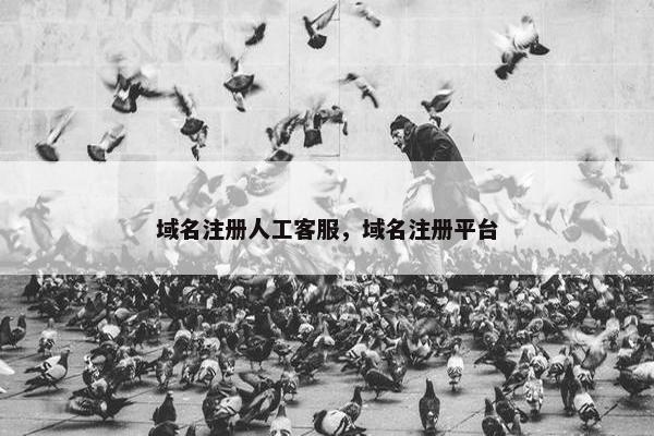 域名注册人工客服，域名注册平台