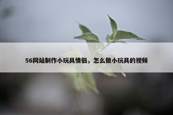 56网站制作小玩具情侣，怎么做小玩具的视频