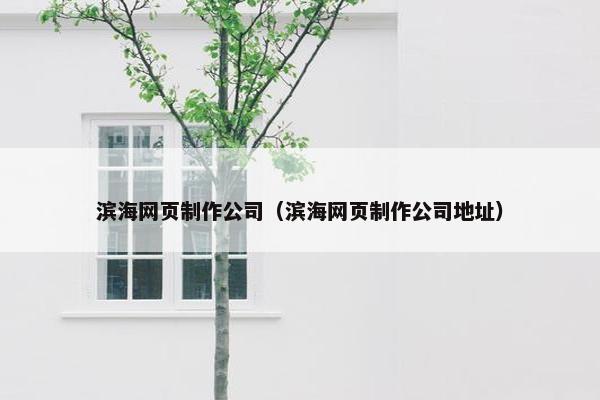 滨海网页制作公司（滨海网页制作公司地址）