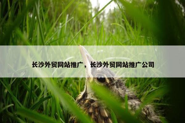 长沙外贸网站推广，长沙外贸网站推广公司