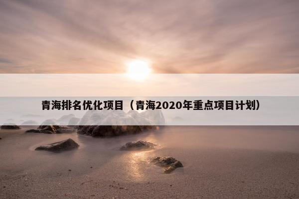 青海排名优化项目（青海2020年重点项目计划）
