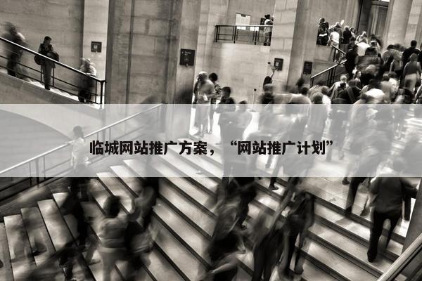 临城网站推广方案，“网站推广计划”