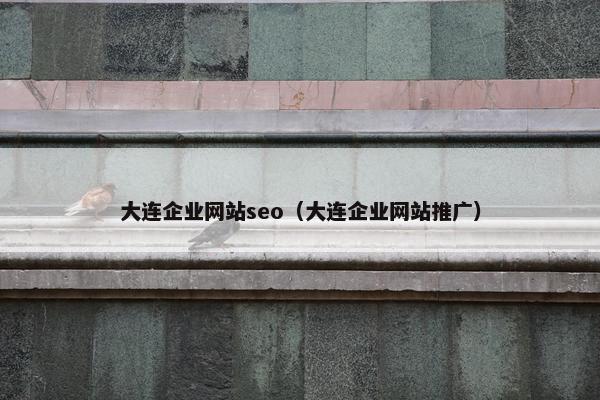 大连企业网站seo（大连企业网站推广）