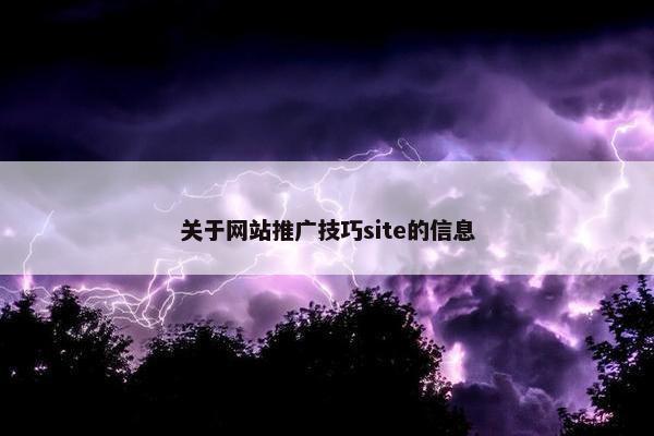 关于网站推广技巧site的信息