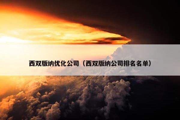西双版纳优化公司（西双版纳公司排名名单）
