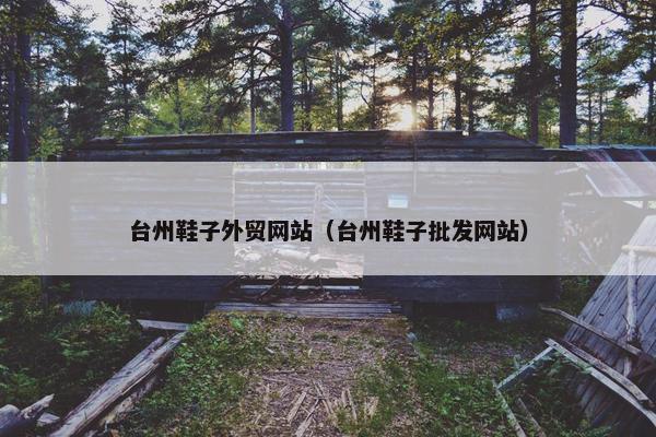 台州鞋子外贸网站（台州鞋子批发网站）