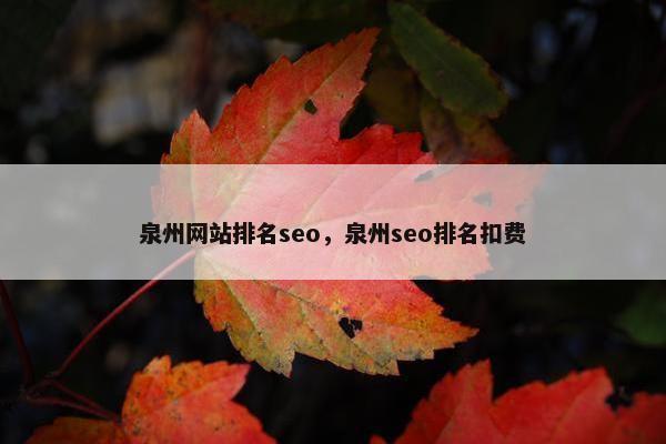 泉州网站排名seo，泉州seo排名扣费