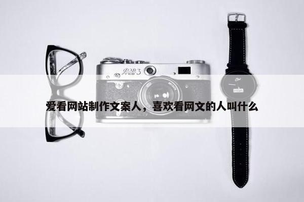 爱看网站制作文案人，喜欢看网文的人叫什么