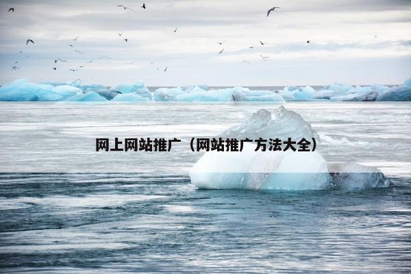 网上网站推广（网站推广方法大全）