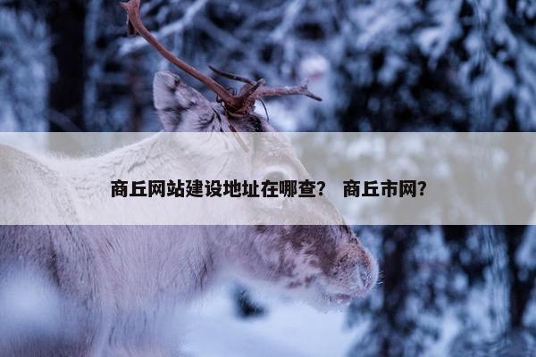 商丘网站建设地址在哪查？ 商丘市网？