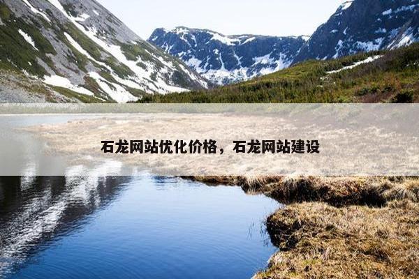 石龙网站优化价格，石龙网站建设