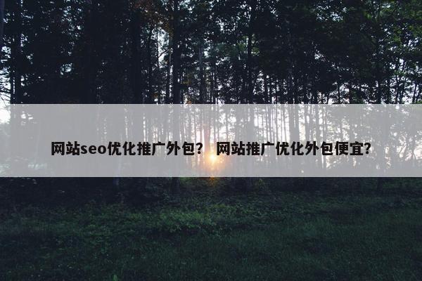 网站seo优化推广外包？ 网站推广优化外包便宜？