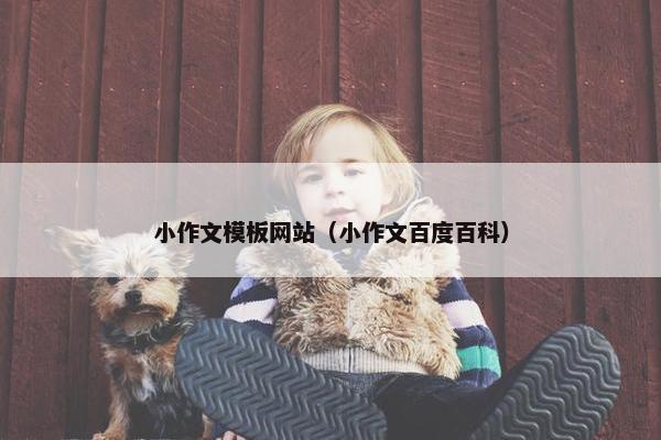 小作文模板网站（小作文百度百科）
