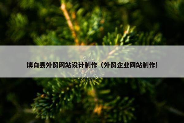 博白县外贸网站设计制作（外贸企业网站制作）