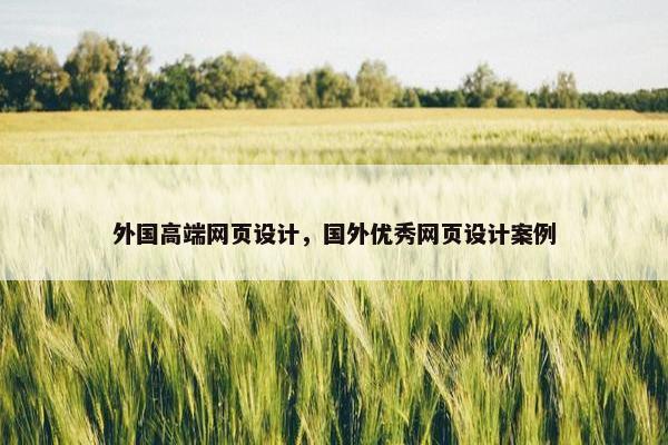 外国高端网页设计，国外优秀网页设计案例