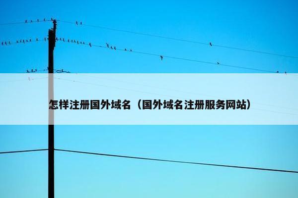 怎样注册国外域名（国外域名注册服务网站）