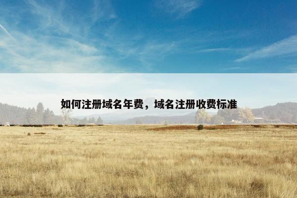 如何注册域名年费，域名注册收费标准