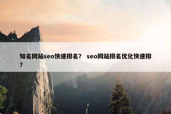 知名网站seo快速排名？ seo网站排名优化快速排？