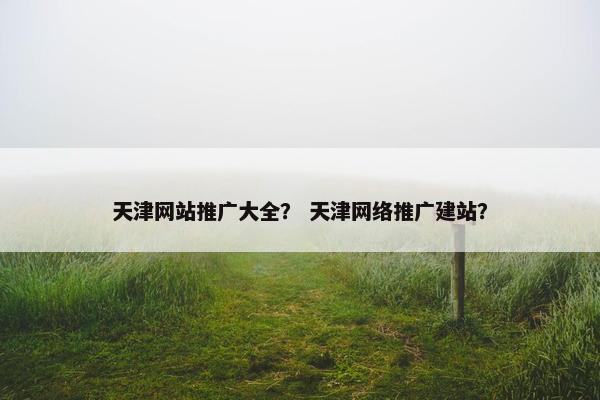 天津网站推广大全？ 天津网络推广建站？