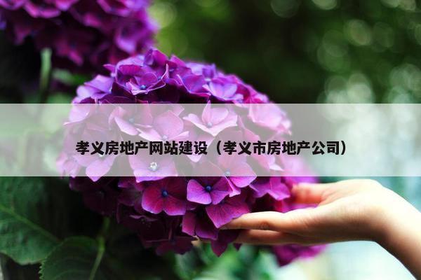孝义房地产网站建设（孝义市房地产公司）