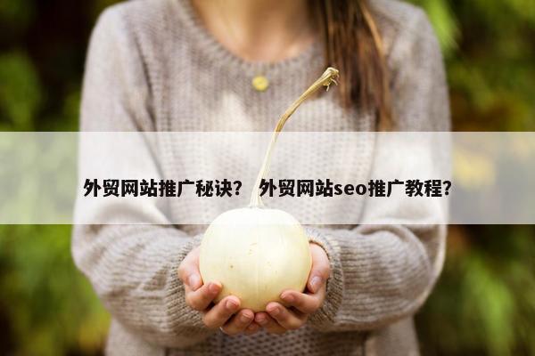 外贸网站推广秘诀？ 外贸网站seo推广教程？