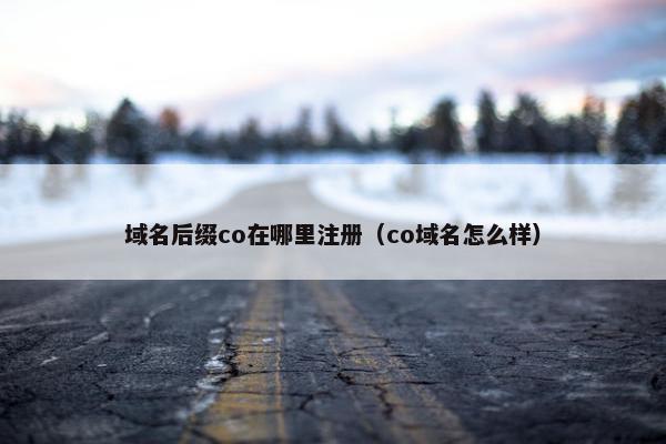 域名后缀co在哪里注册（co域名怎么样）
