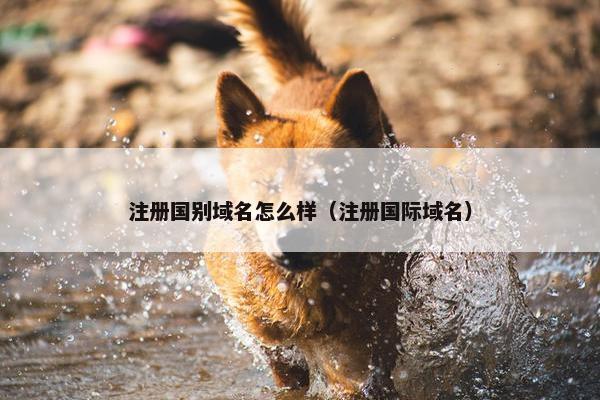 注册国别域名怎么样（注册国际域名）